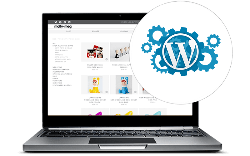 Wordpress Ecommerce Development